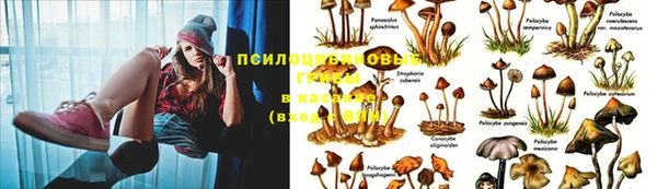 спайс Дмитров