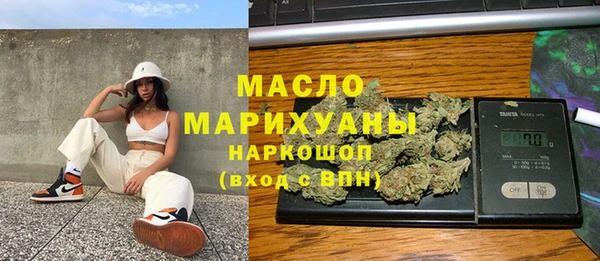 индика Тутаев