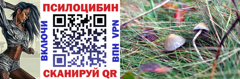 Псилоцибиновые грибы мицелий  Купить закладки  Таштагол 
